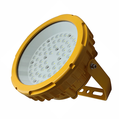 50W免維護(hù)防爆泛光燈 50W免維護(hù)防爆泛光燈